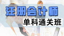 2015注册会计师通关班-经济法